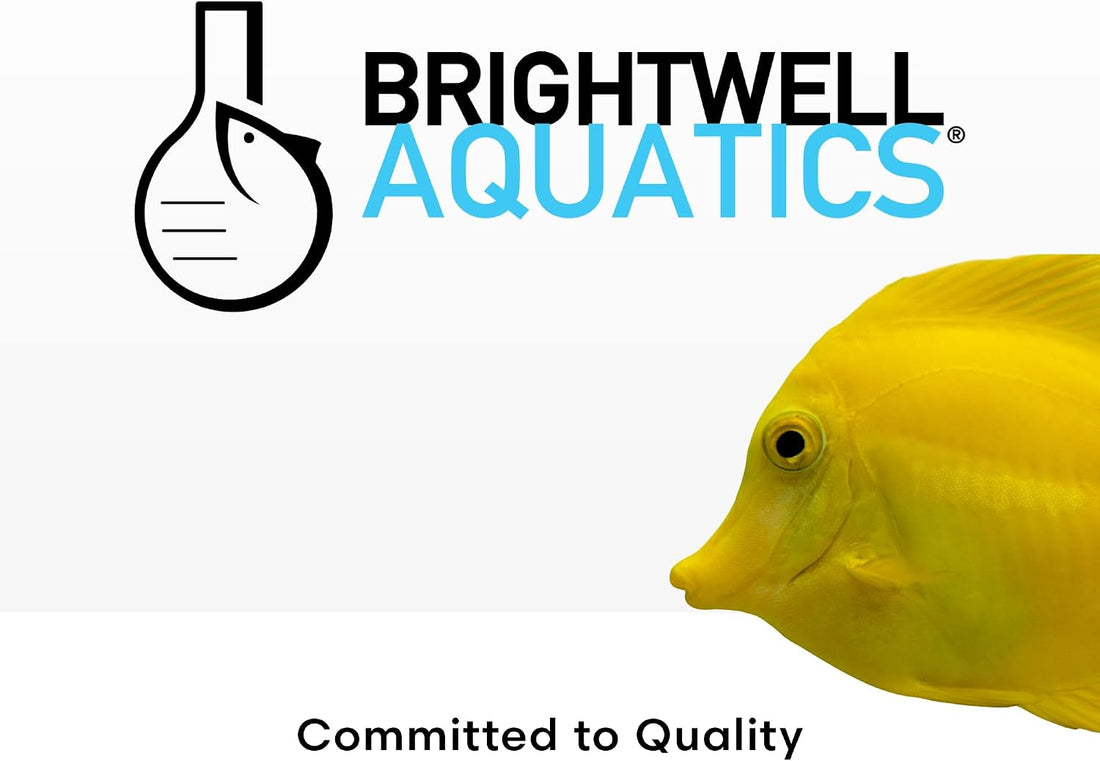 Brightwell Aquatics Magnesion Ionic Magnesium for Reef Aquariums