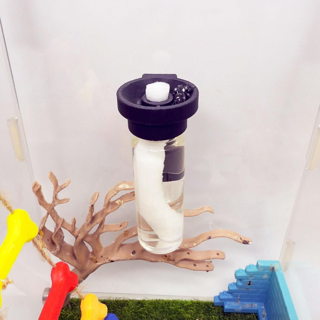 Jumping Spider Water Dispenser