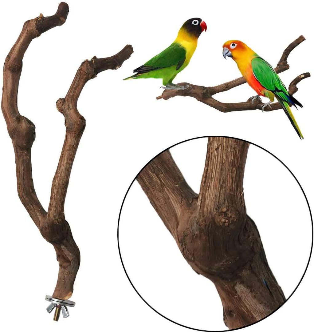kathson Natural Parrot Perch Bird Stand Pole Wild Grape Stick Paw