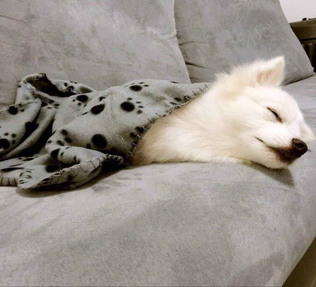 Comsmart Dog Blankets for Small Dogs