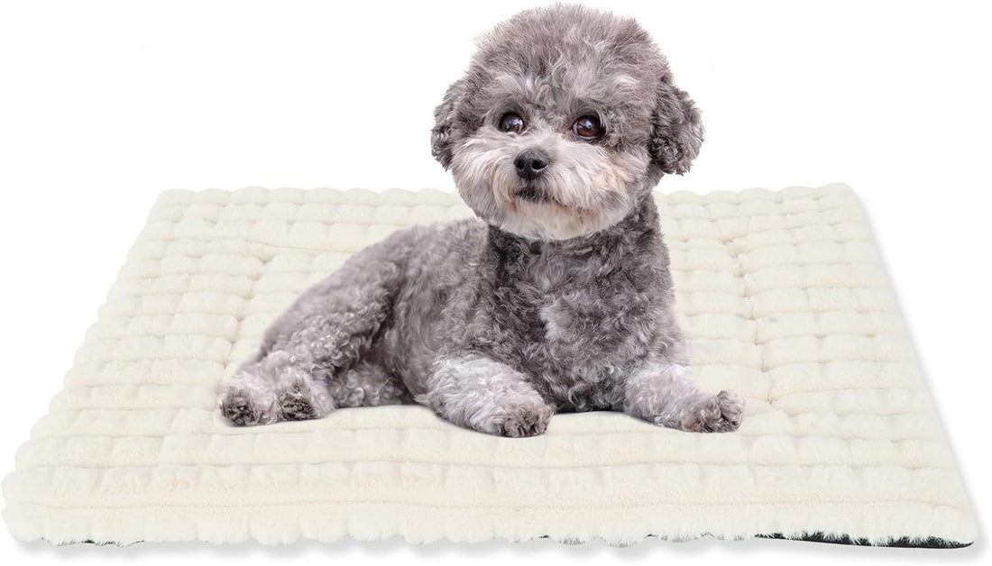BVAGSS Dog Bed Washable Crate Mattress,Anti-Slip Memory Foam Soft
