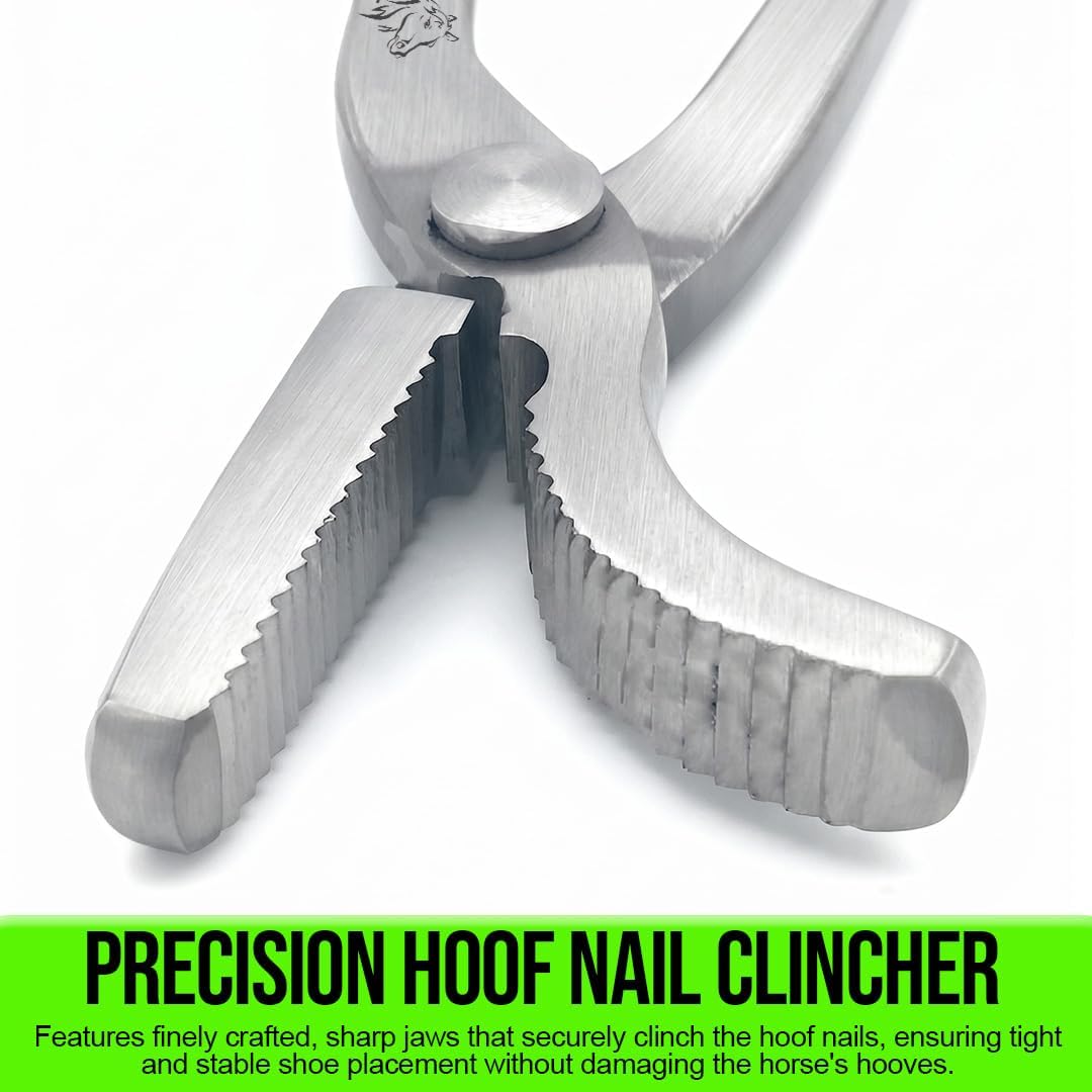 12" Horse Shoe Care Farrier Tool