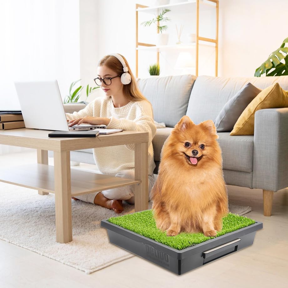 20-Pack Pet Loo Pee-Pod Refills with Sponge Compatible with PetSafe