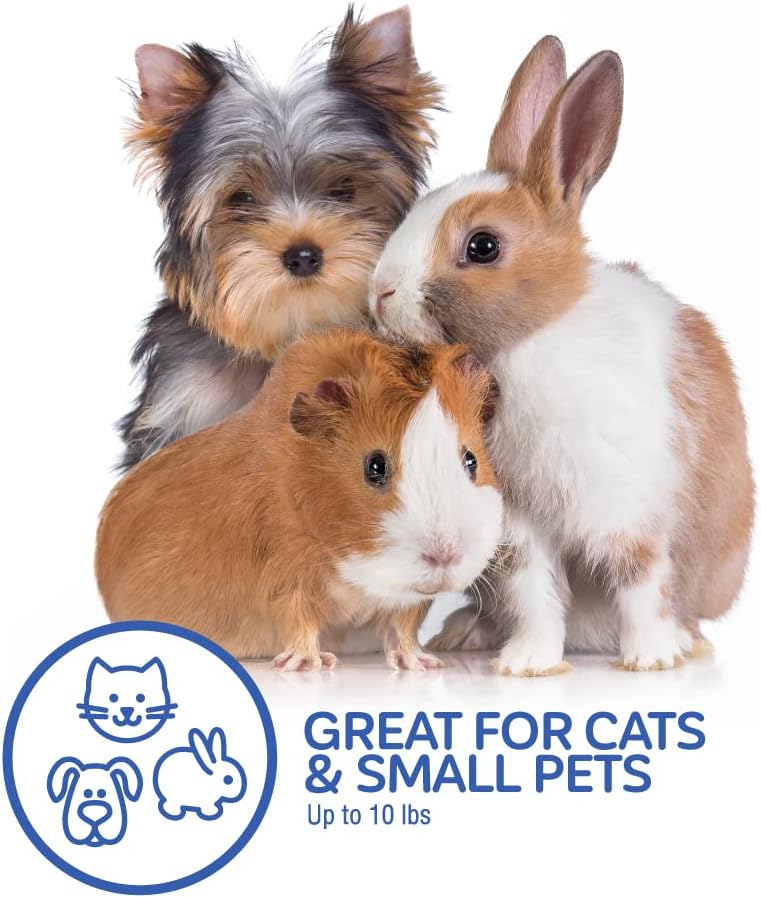 Petmate Plastic Pet Kennel for Cats & Small Dogs