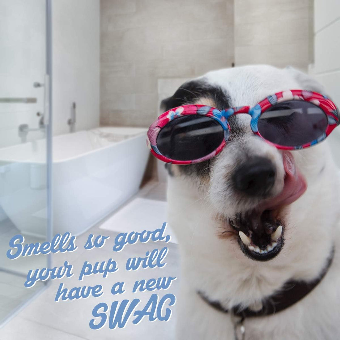 OLIVER'S CHOICE Dog Shampoo with Oatmeal, Aloe & Shea Butter