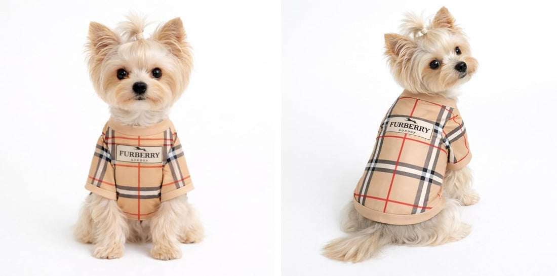 Luxury Designer Dog T Shirt – Trendy Puppy Clothes for Small Dogs