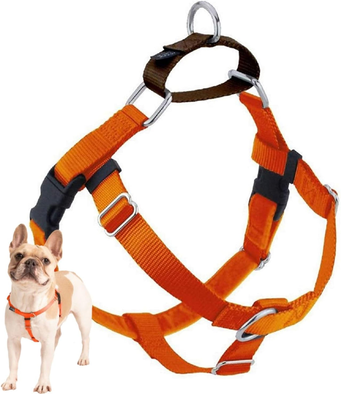 2 Hounds Design Freedom No Pull Dog Harness, 1 inch LG