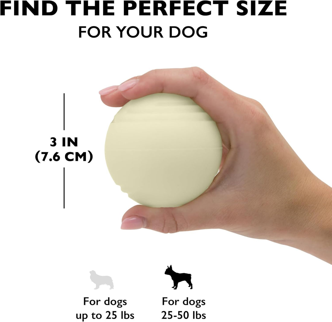 Chew King by Mammoth Set of 2 Glowing Fetch Ball
