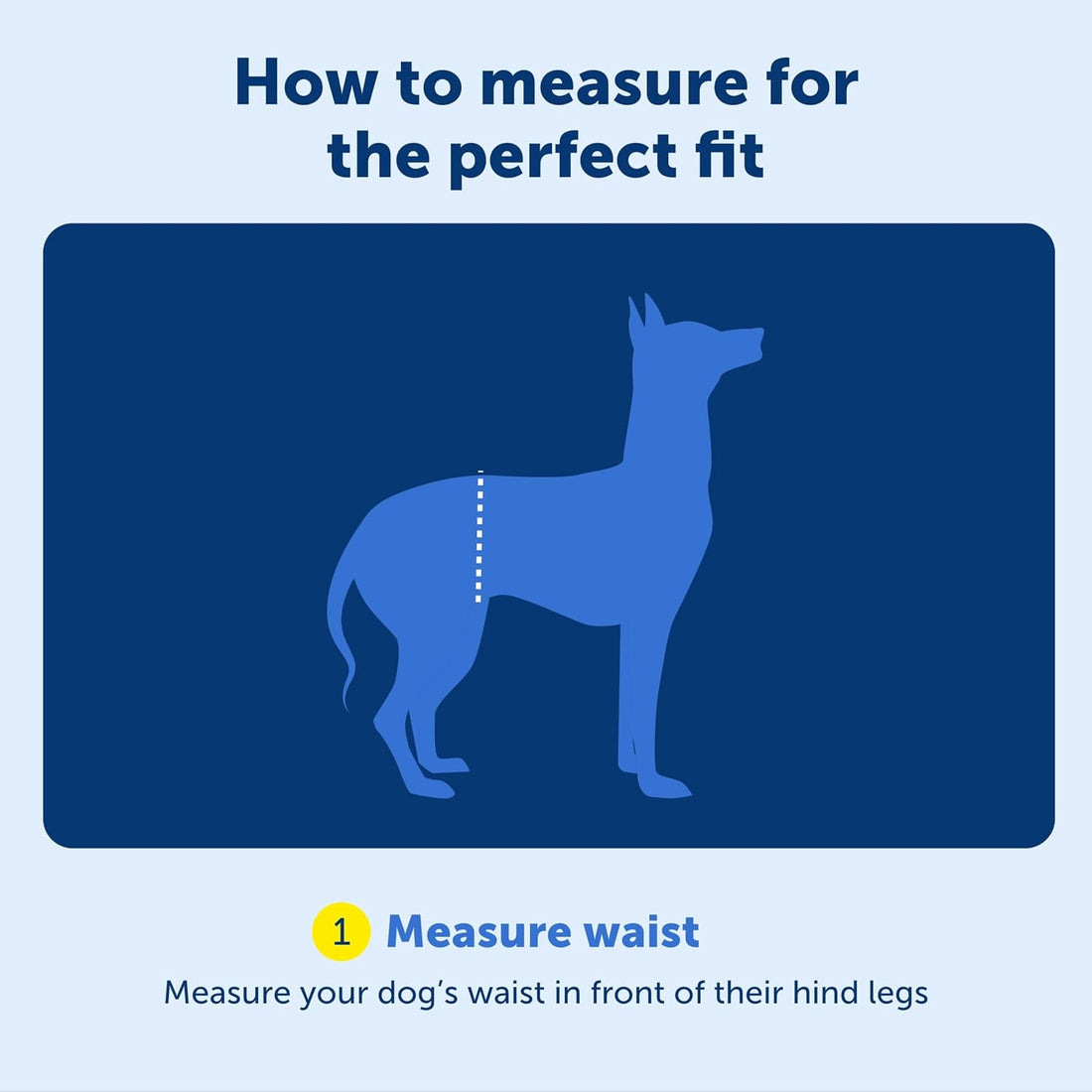 PetSafe Solvit Pet Lifting Aid for Rear Portion, Large, Black (62365)