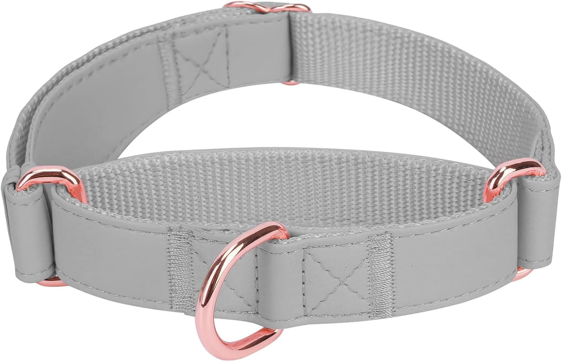 Soft Leather Martingale Dog Collar