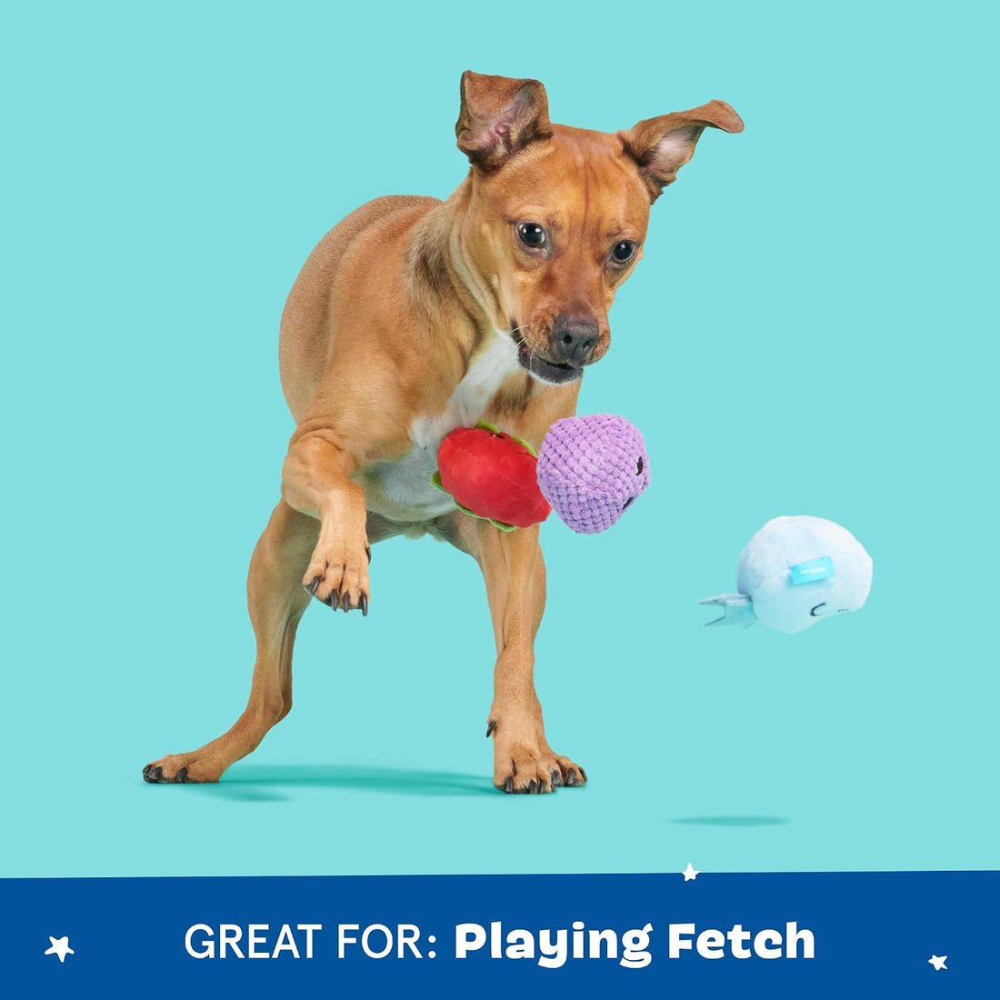 BarkBox Wild Berry Bunch 3-in-1 Interactive Plush Dog Toy