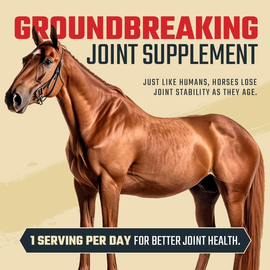 Daybreak Nutrition 8 in 1 Equine Joint Supplement, 964g (30 Servings)
