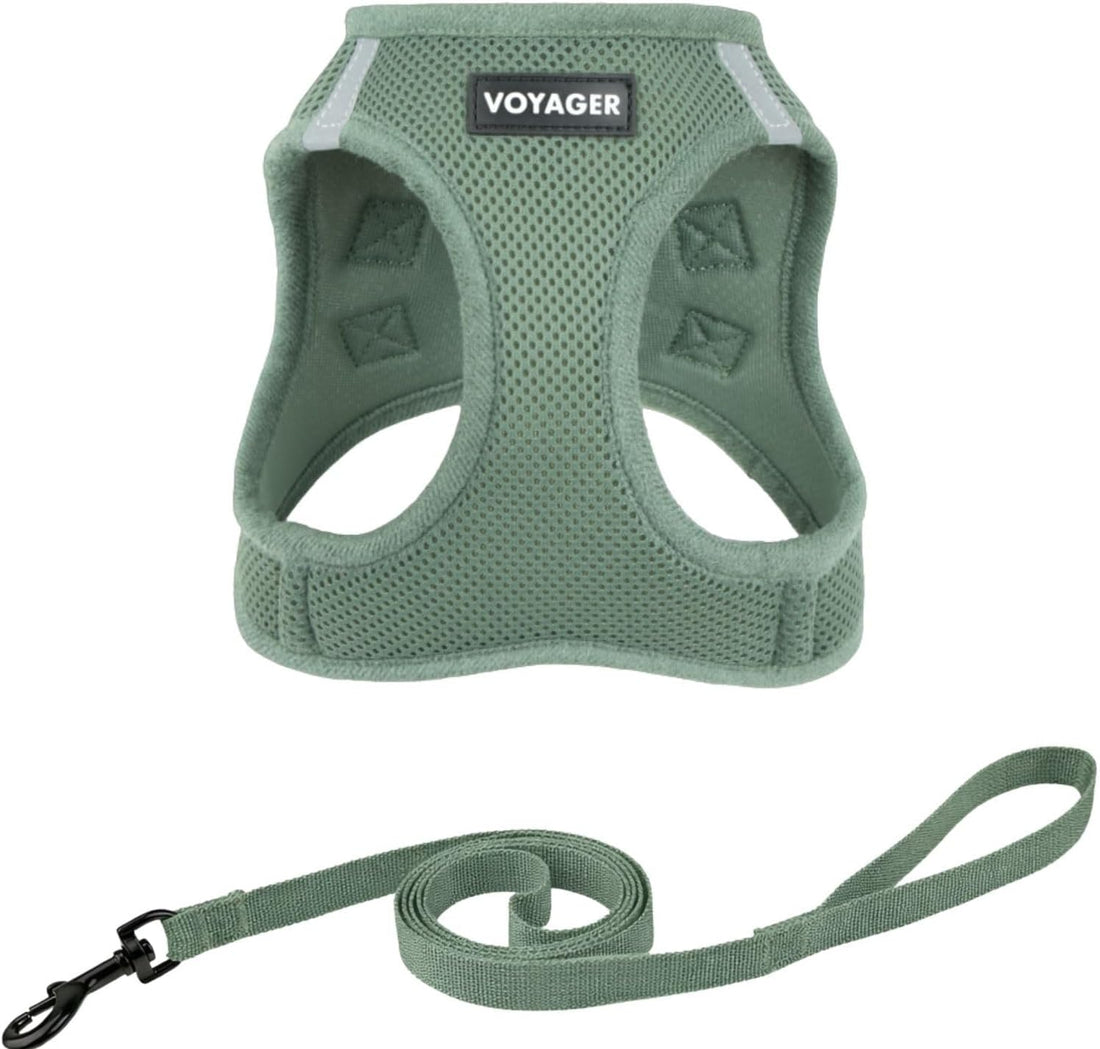 Voyager Step-in Air Cat Harness & Leash Set - Moss Green, XS