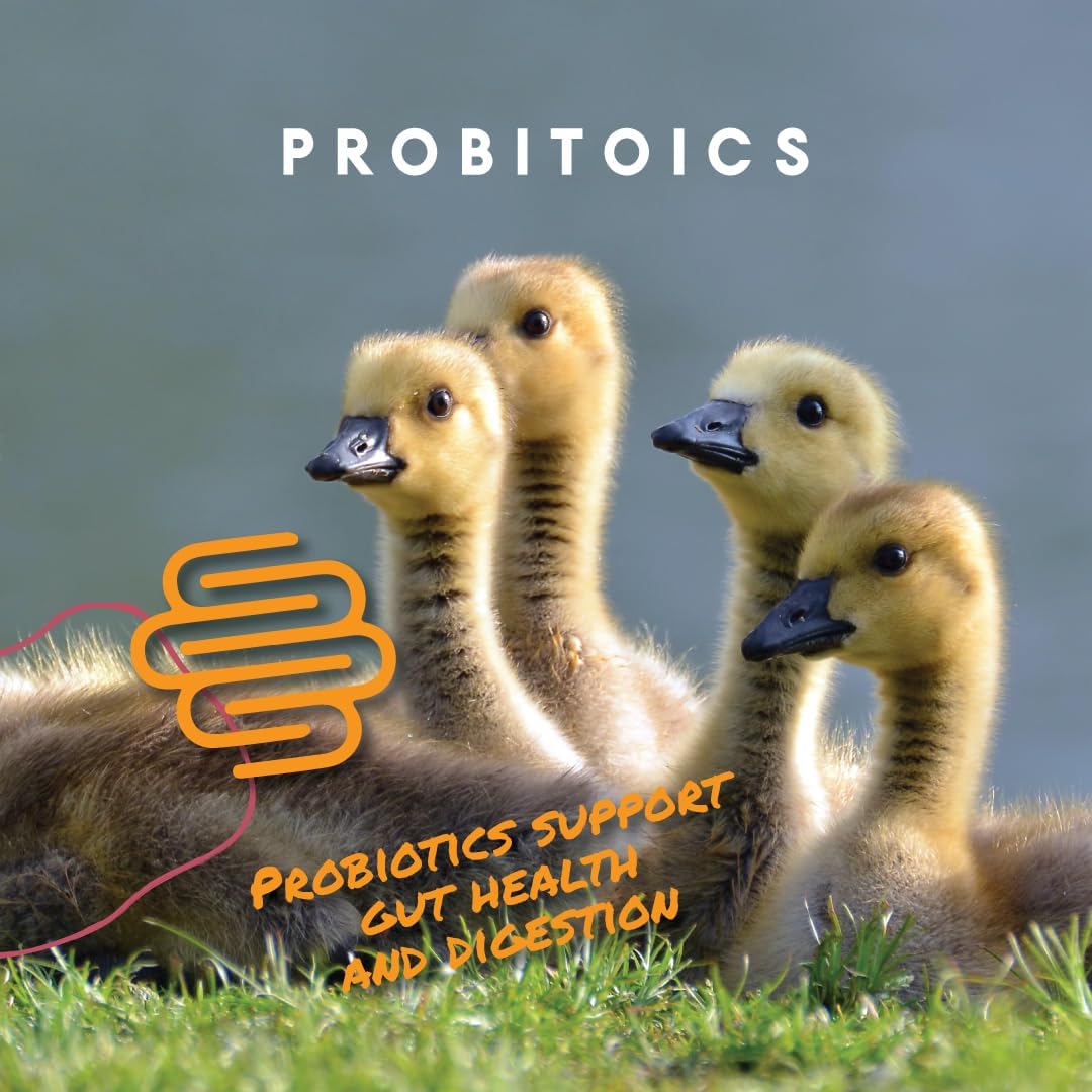 Manna Pro Duck Starter Grower Crumble