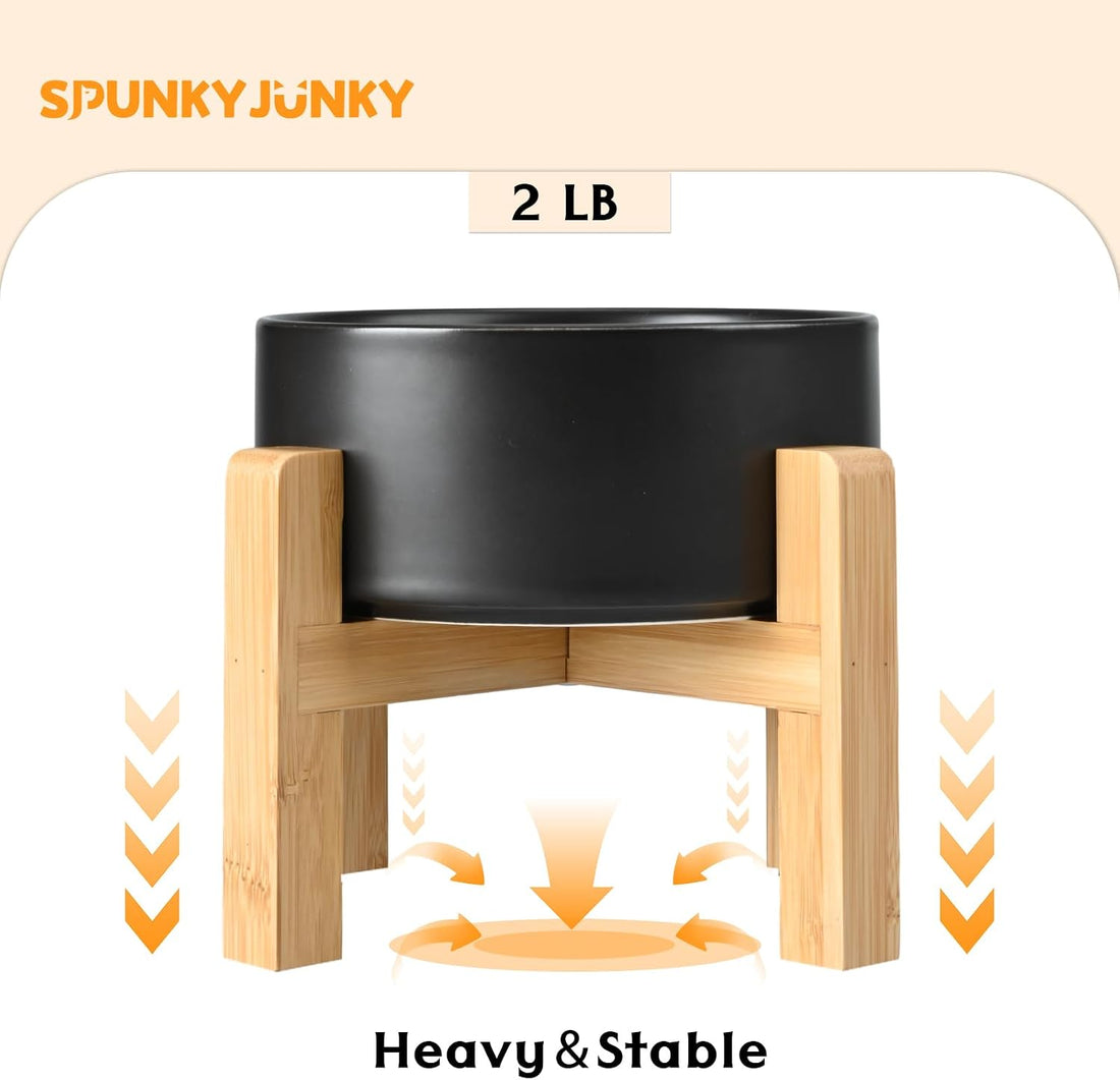 SPUNKYJUNKY Ceramic Elevated Dog Bowls 2 Pack
