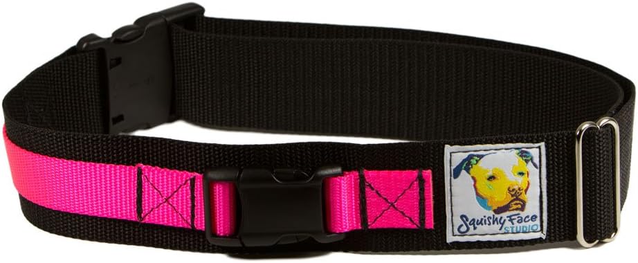 Squishy Face Studio Hands Free Dog Leash Belt