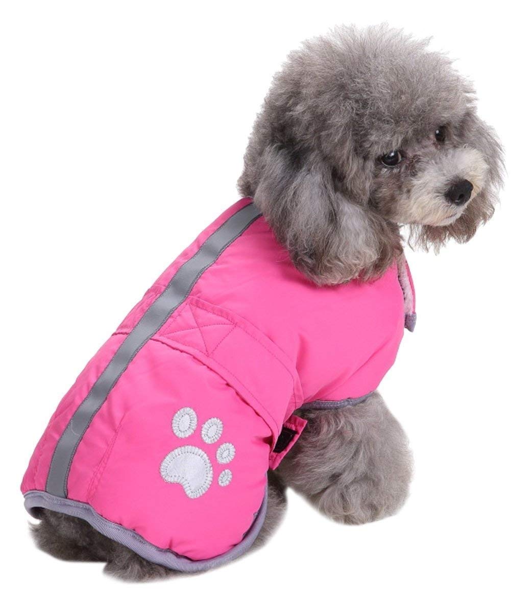 Queenmore Cold Weather Dog Coats Loft Reversible Winter Fleece Dog