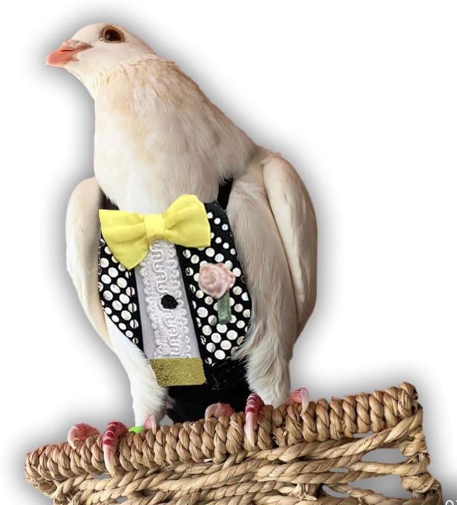 Bev's Bird Boutique Regular Flyper Adjustable Bird Diaper | Reusable