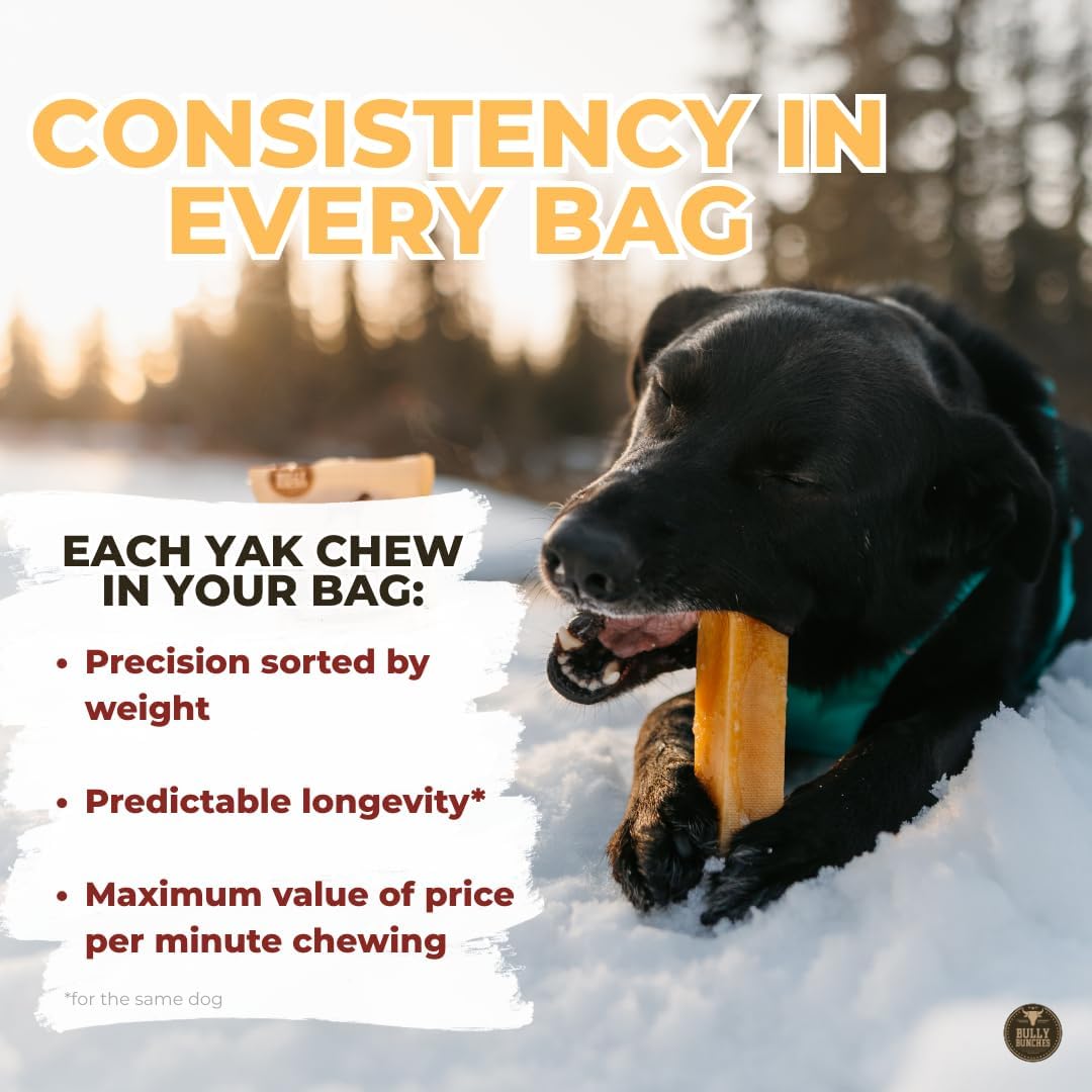Bully Bunches Authentic Yak Cheese Himalayan Dog Chews