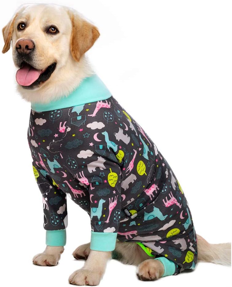 Dog Surgery Recovery Suit Female Male for Dogs After Surgery Medium