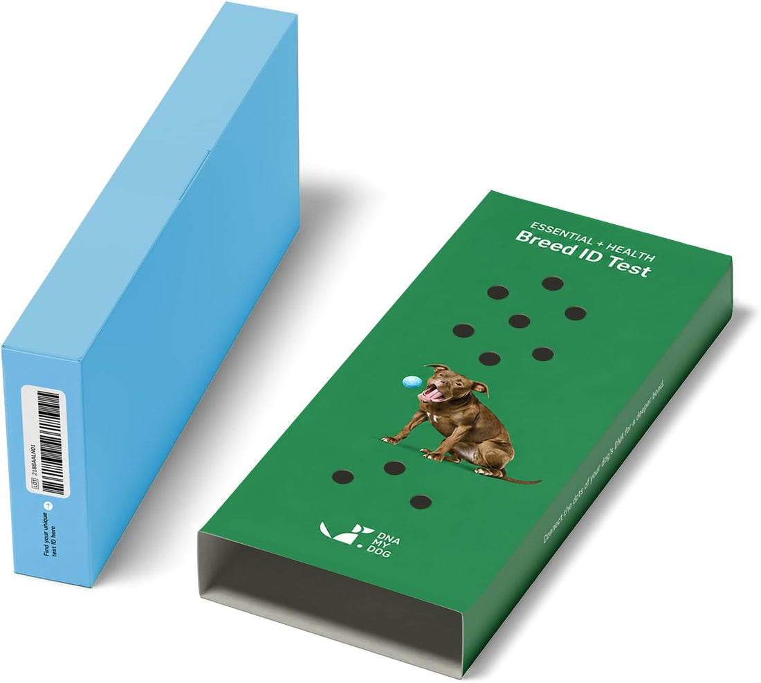 DNA MY DOG - Essential + Health Dog DNA Test Kit
