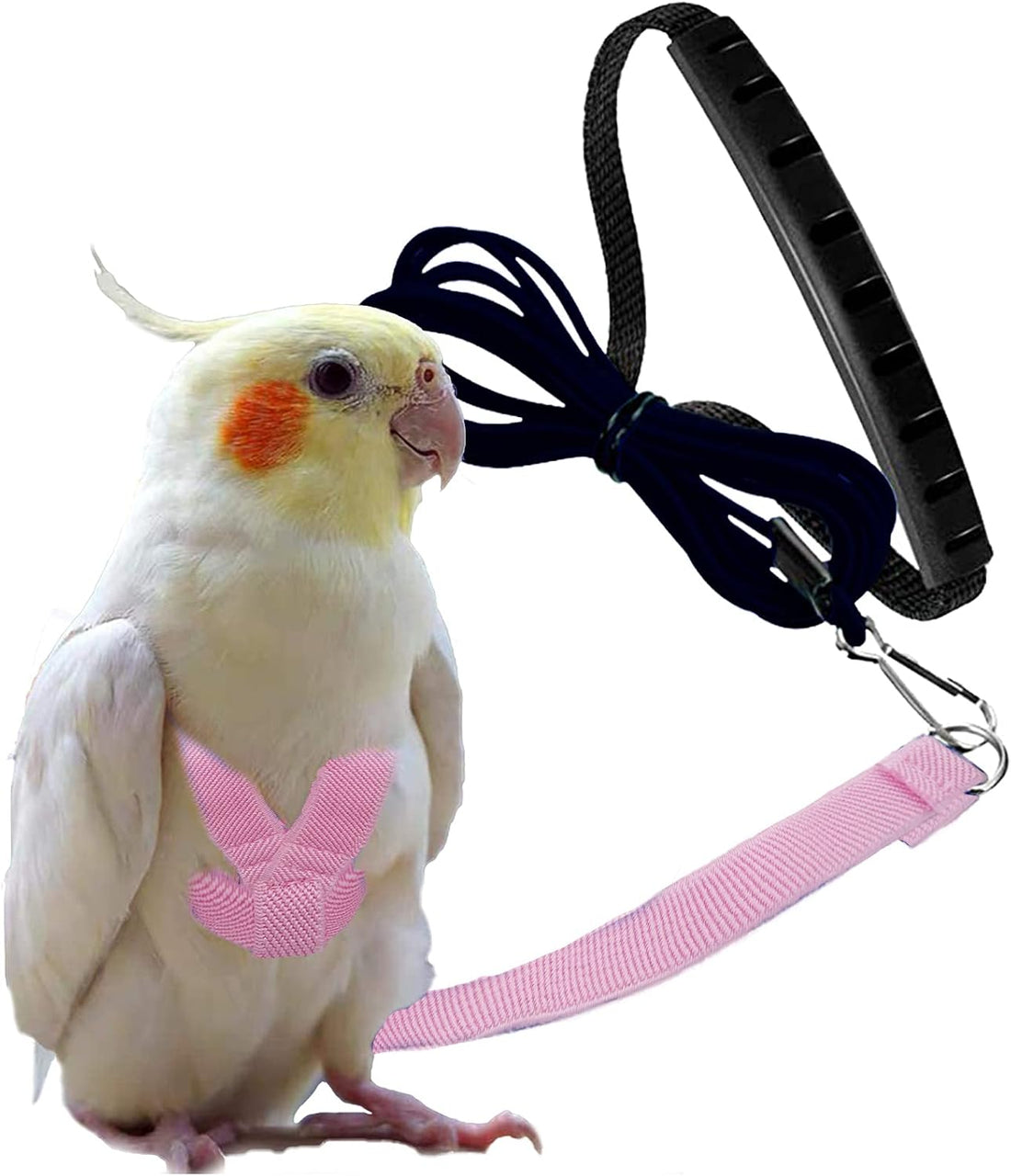 Dnoifne Parrot Harness and Leash, Adjustable Training Design Anti-Bite