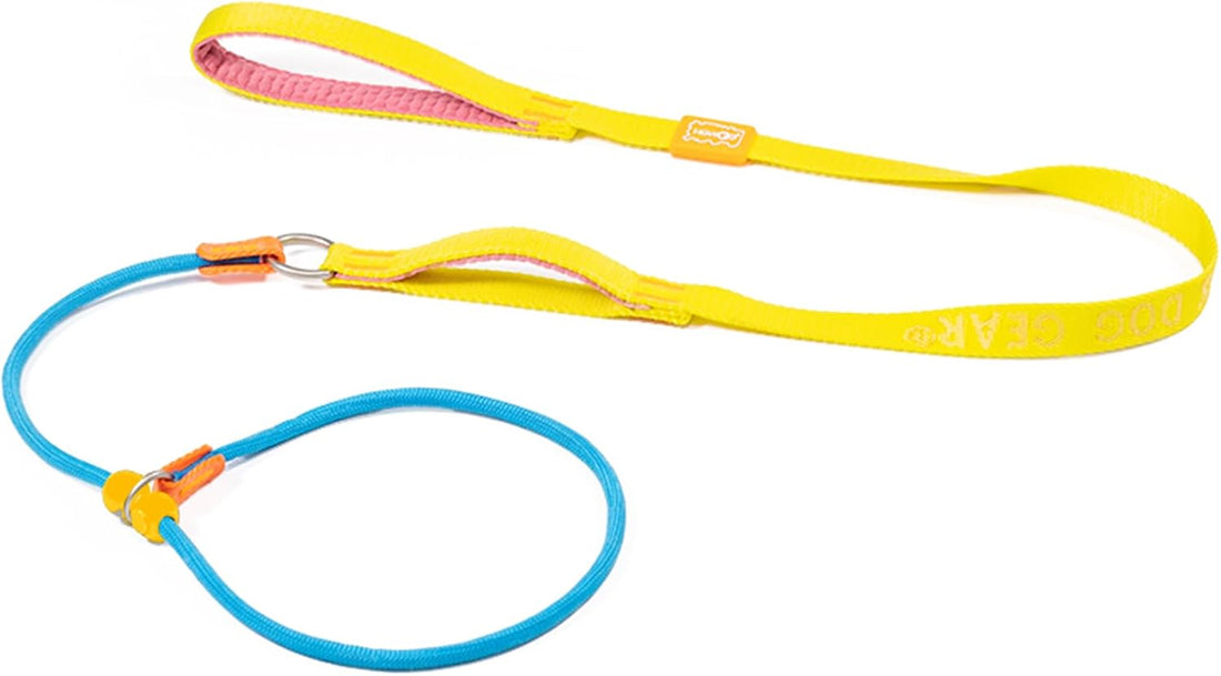 HowGo Slip Lead Dog Leash, 360°Swivel Anti-Tangle