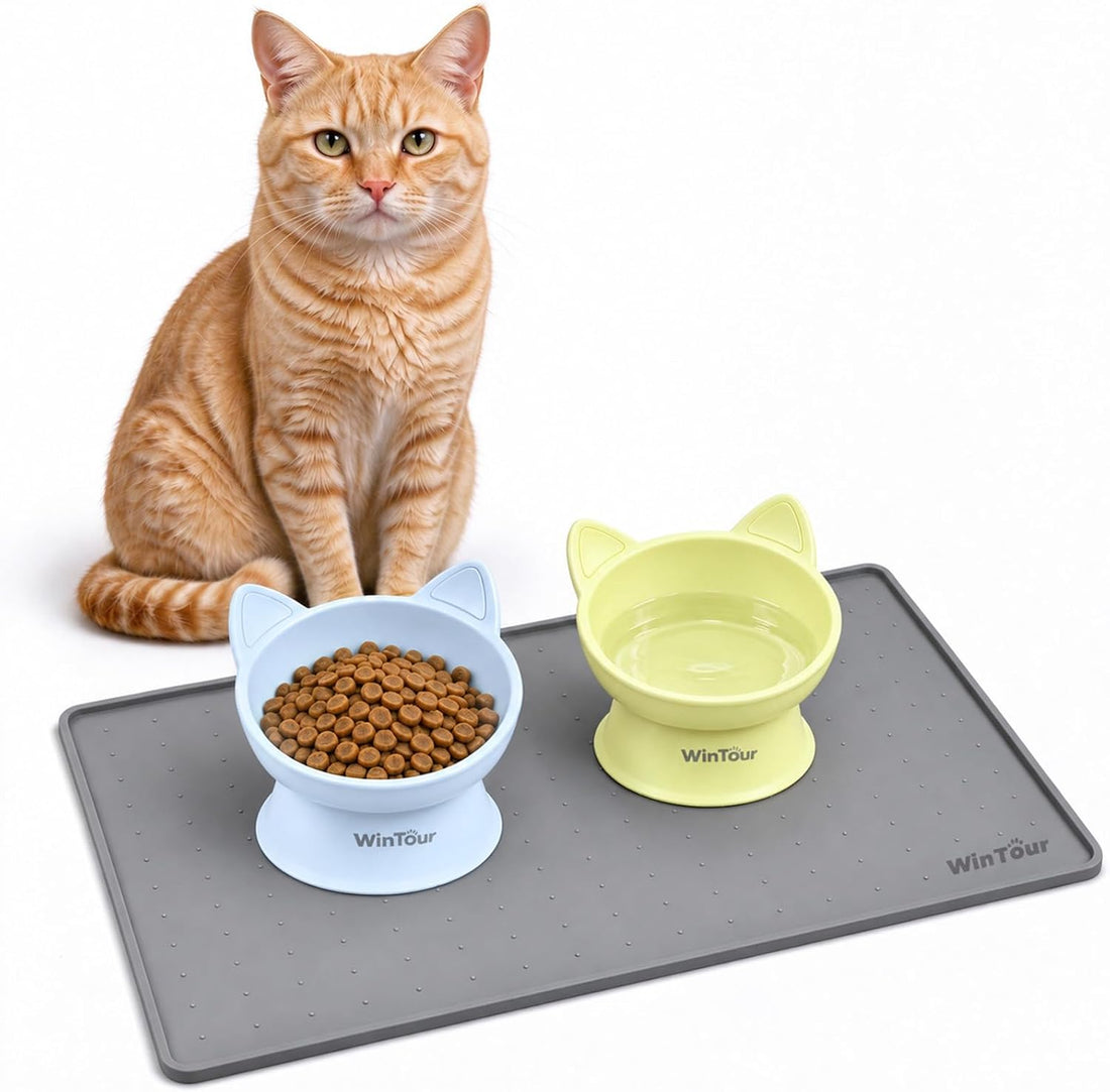 WinTour 2 Pack Elevated Cat Bowls with Food Mat
