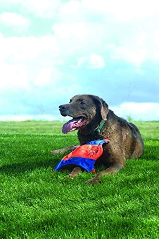 Small Flying Squirrel Dog Toy