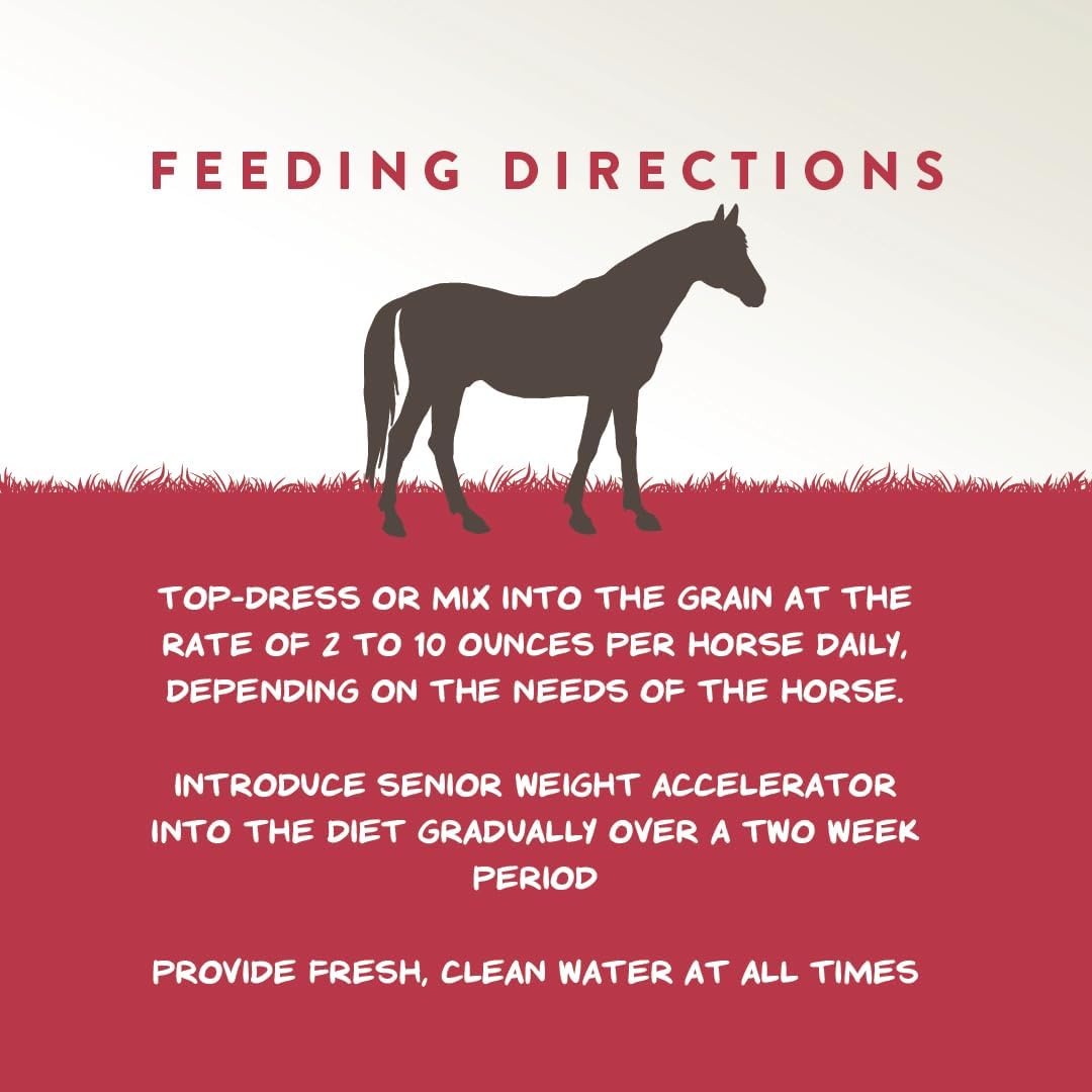 Manna Pro Weight Accelerator Horse Supplement, Meal Topper, Omega-3