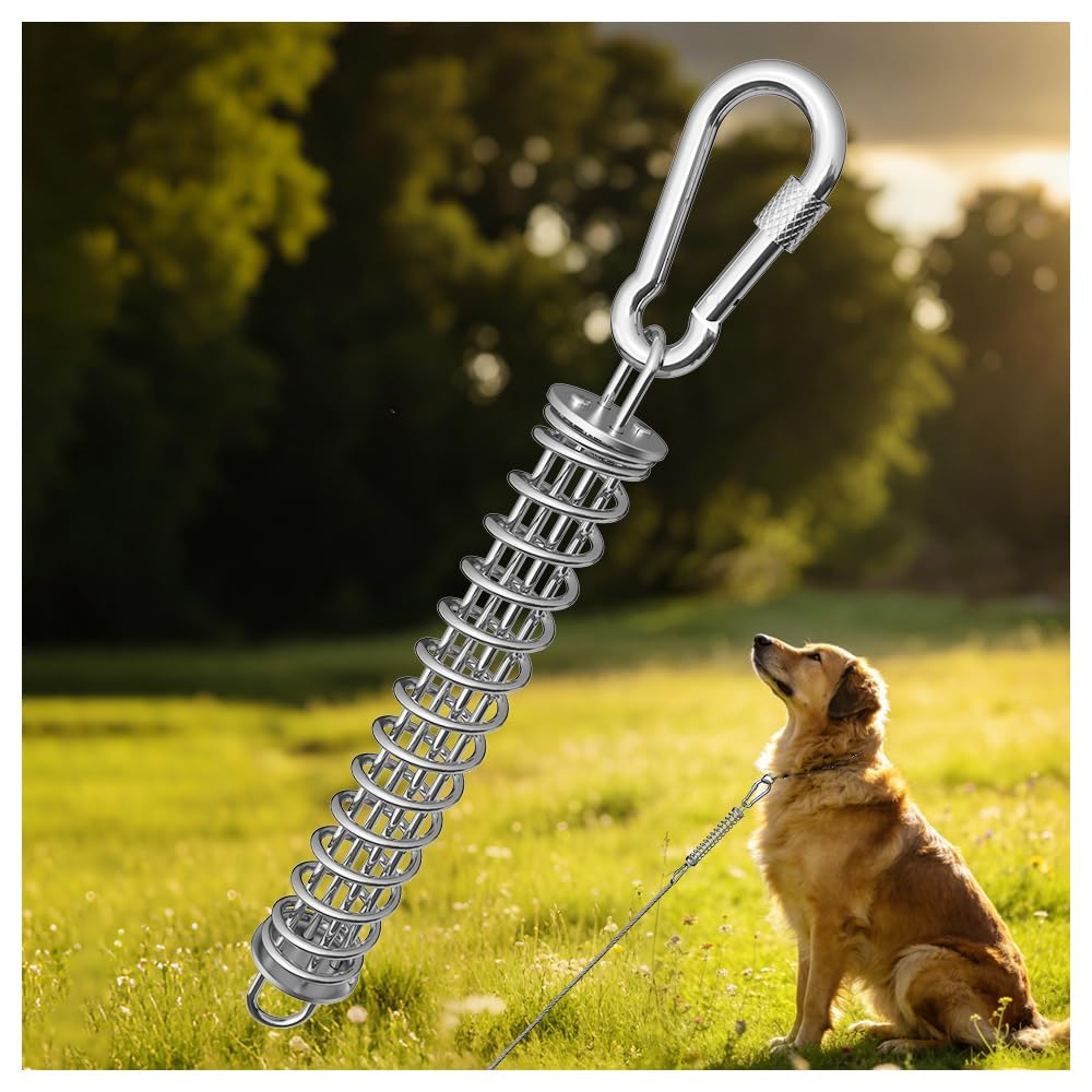 MOLANZ Dog Tie Out Spring Shock Absorber, Dog Lead