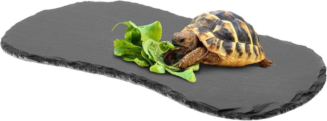 Shinylin 1 Pack Reptile Basking Platform Tortoise Slate Rock