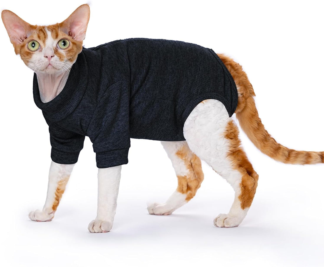Cat Recovery Suit for Foreleg