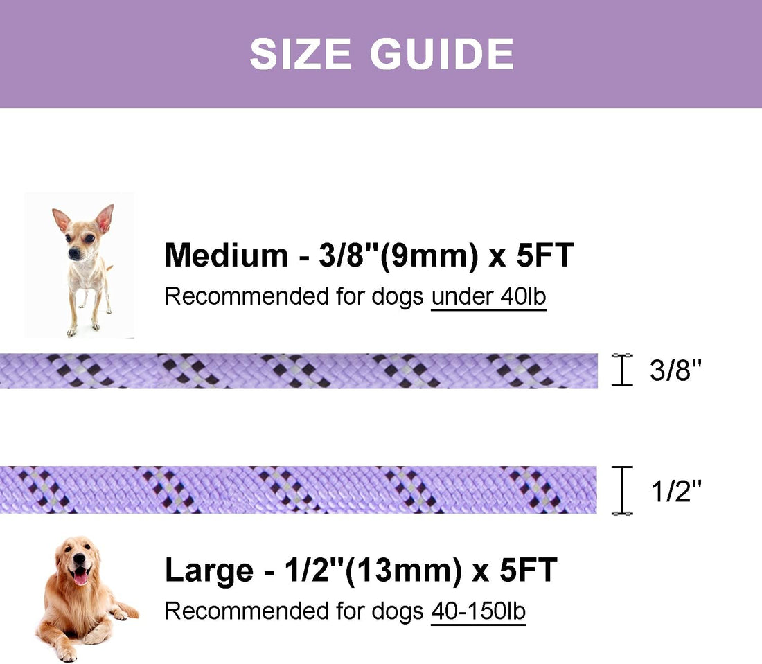 5 FT Slip Lead Dog Leash, Heavy Duty Rope Leash for Small Medium