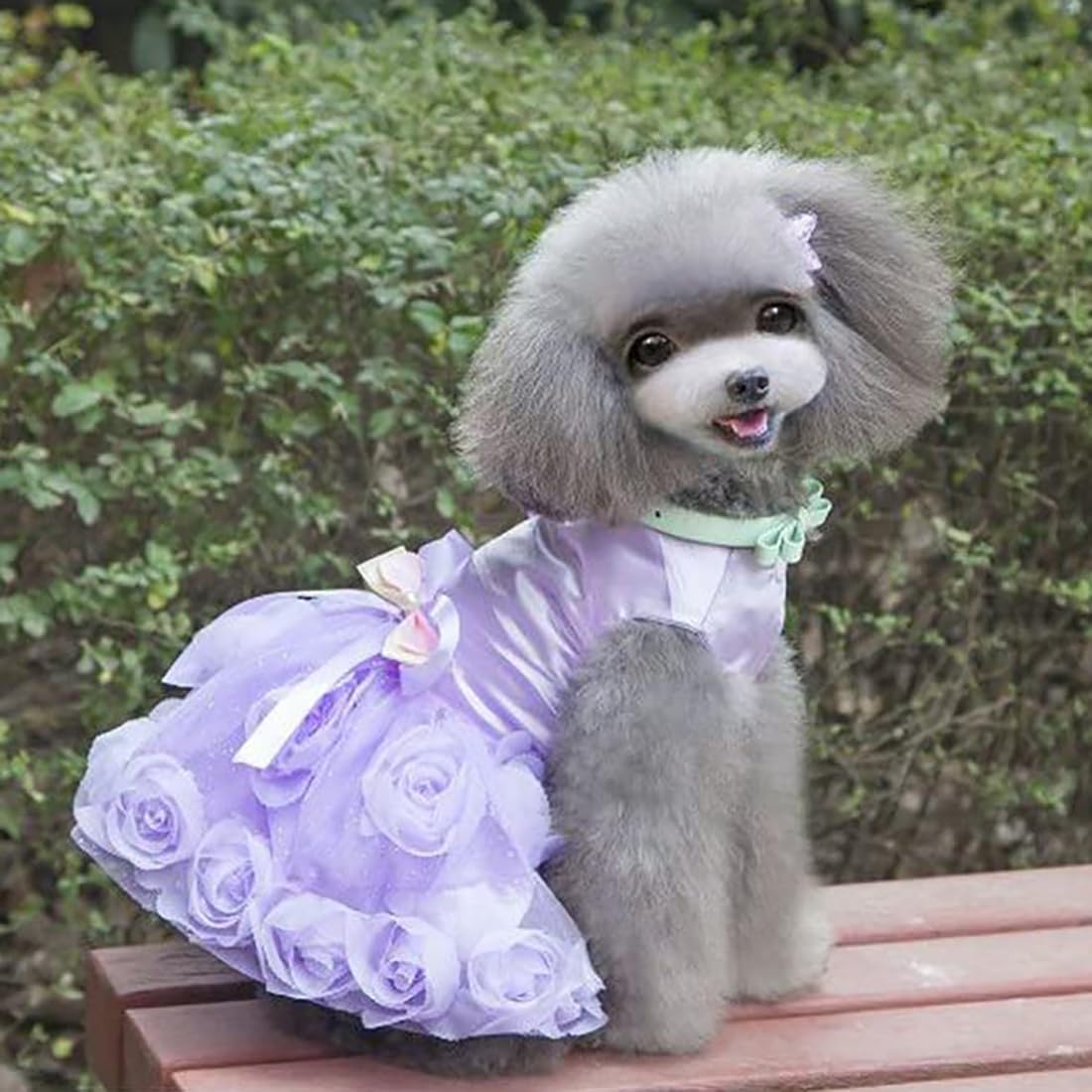 Dog Dress Luxury Puppy Skirt Clothes Princess Dresses Wedding Evening