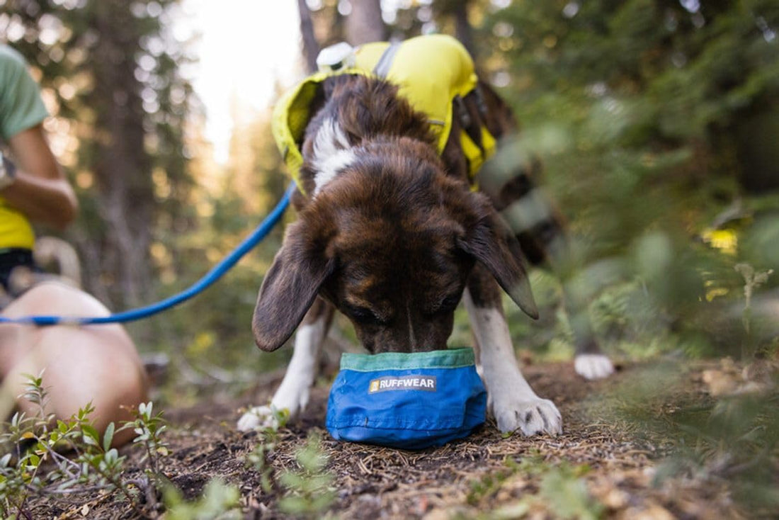 Ruffwear, Trail Runner Collapsible Dog Bowl, 4.2 Cups (1 L), Blue Pool