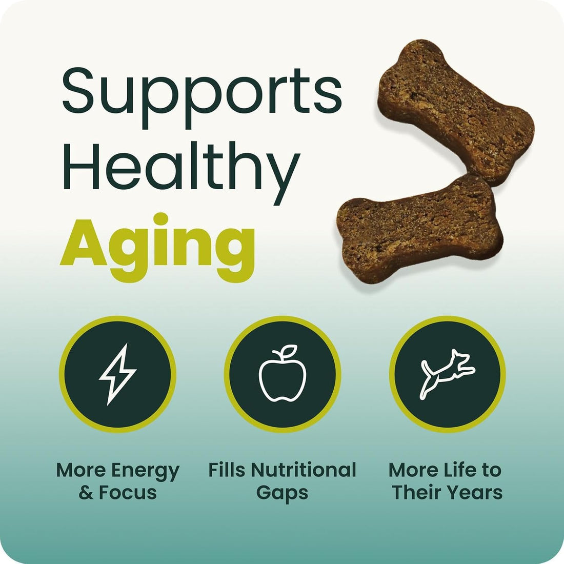 VetriScience Senior 27+ Active Health Chews