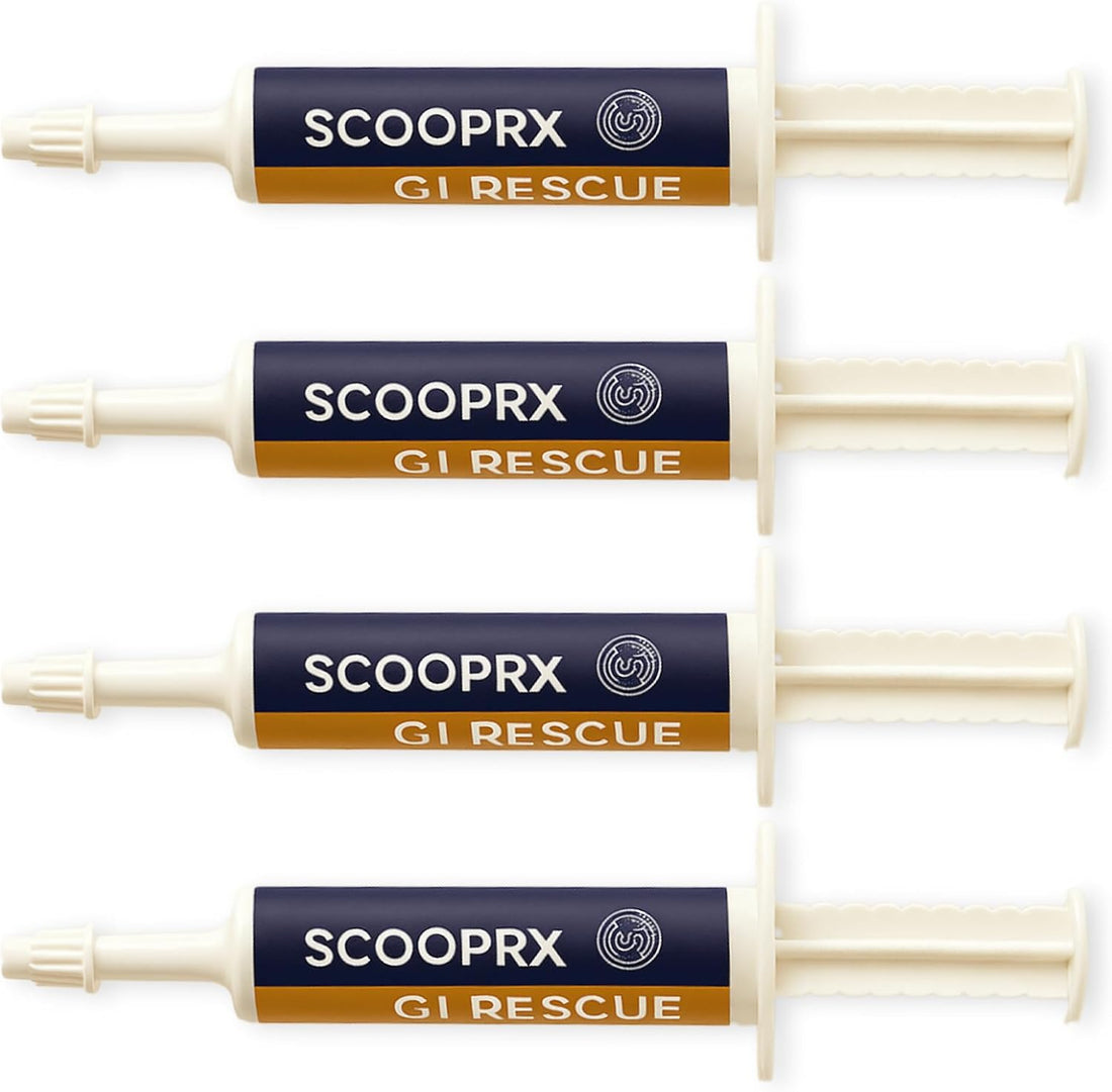 Horse Digestive Support System | Emergency & Daily GI Balance