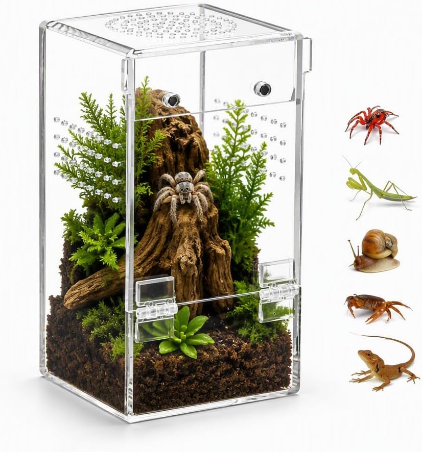 Jumping Spider Enclosure,Clear Acrylic,Pre-Assembled,3x3x5.9inch