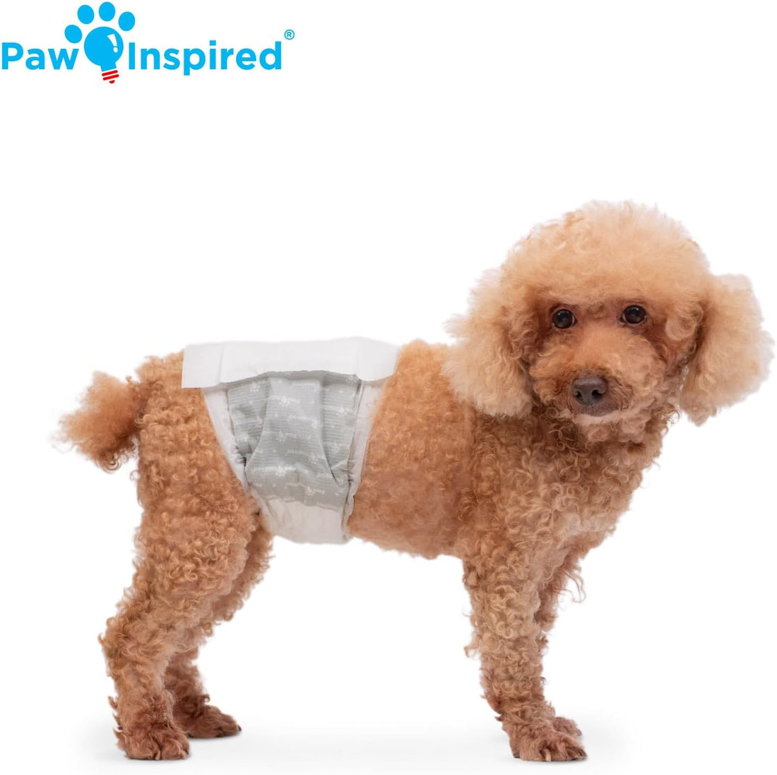 Paw Inspired Disposable Male Dog Wraps