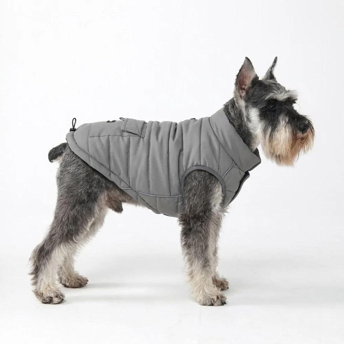 Spark Paws Dog Winter Coat Jacket