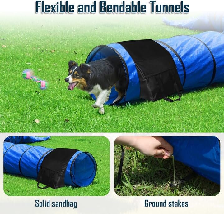 Dog Agility Training Equipment