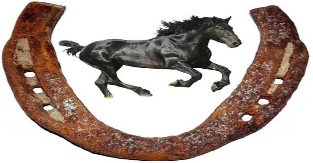 Original Black Horse Shoe/Kale Ghode ki naal