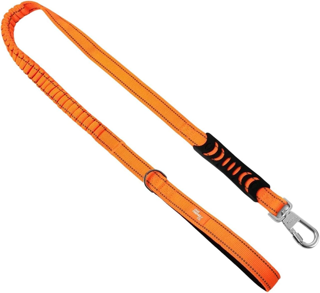 Dog Friendly Co. Bungee Dog Leash, Shock-Resistant