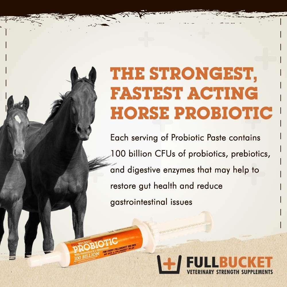 Fullbucket Health Equine Probiotic Paste 32.5CC
