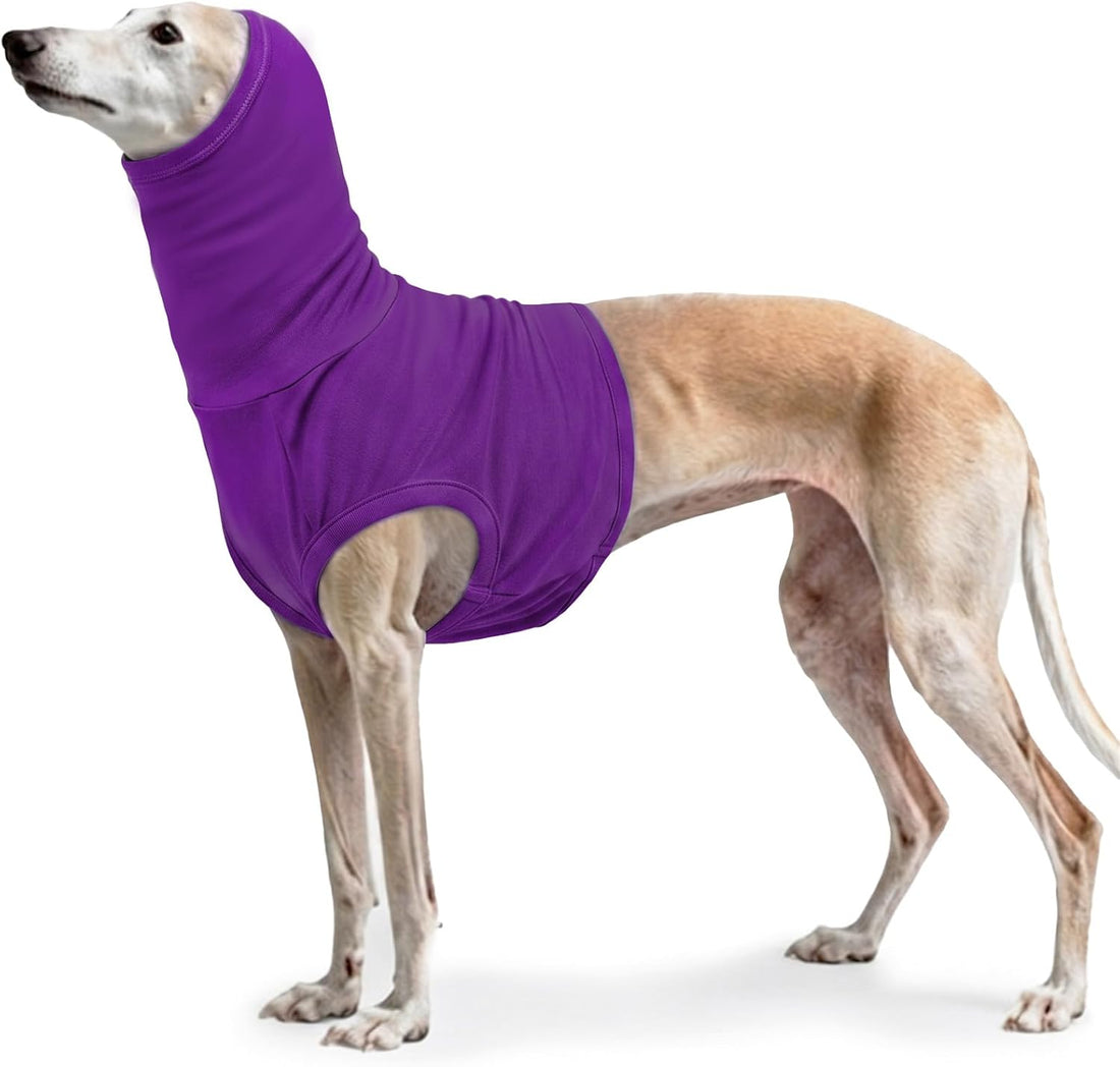 ROZKITCH Cat Neck Protector Wound Cover, Dog Surgery Recovery Suit