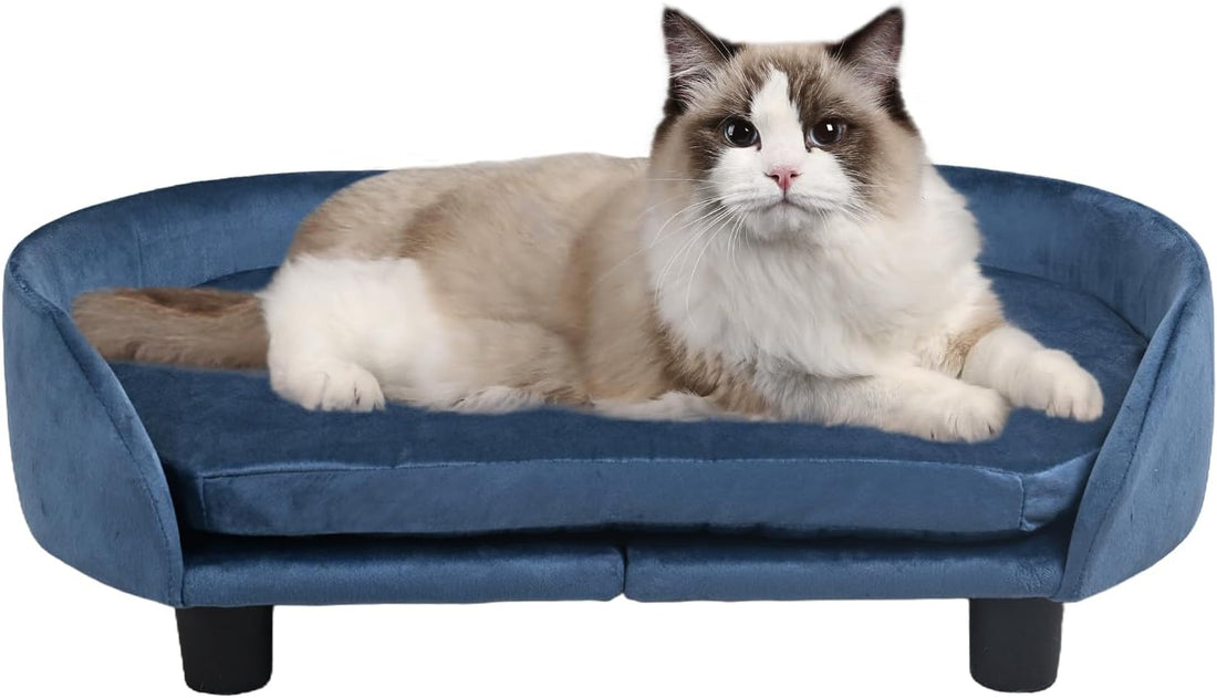Cat Sofa Bed, Velvet Pet Couch Chair withRemoveable & Washable