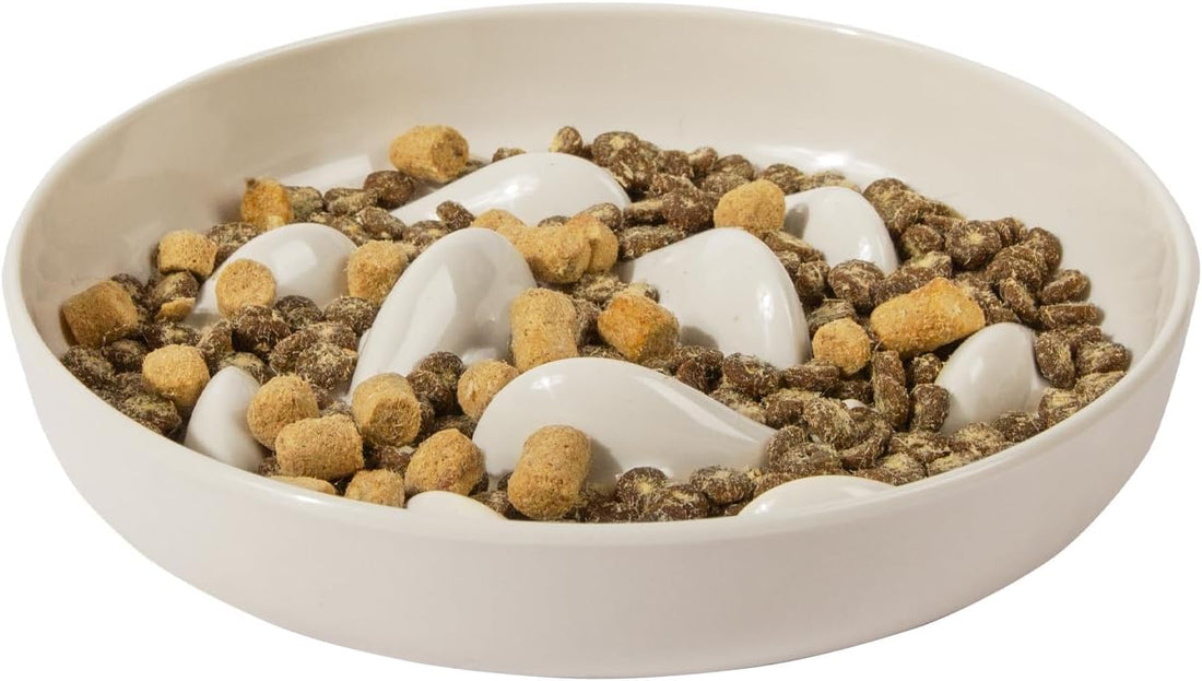 Slow Feeder Bowl for Cats and Small Dogs,Cilkus Fish Pool Design