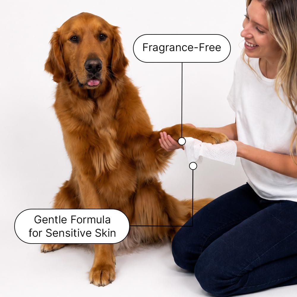 Goldie Dog Essentials Probiotic Dog Wipes Hypoallergenic Sensitive