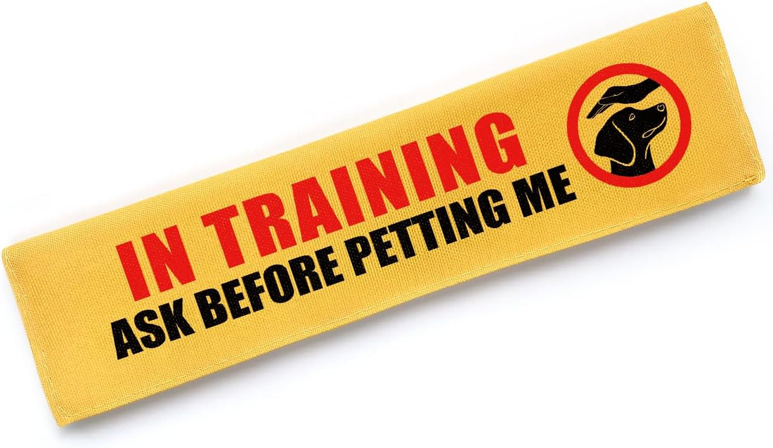Give Me Space Leash Sleeve, Funny Do Not Pet Reactive Dog Patch